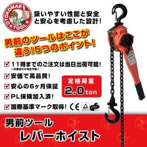 KITO（キトー） メーカー直送/キトーレバーブロック LX003 250KG