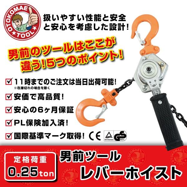 レバーホイスト 0.25t 1台 保証6ヵ月 レバーブロック 締め具 吊り具 運送 ガッチャ チェー...