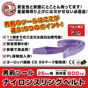 スリングロープ 2.9メートル 楽天市場】【4本 セット/耐荷2t/長さ3m】スリング ベルト 吊上げ