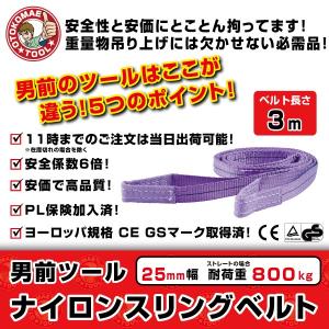 スリングベルト 25mm幅 3m ナイロン製スリングベルト ベルトスリング 吊りベルト 繊維ベルト 吊り具｜omt-store