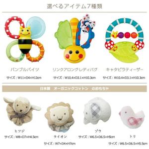 出産祝い 名前入り Sassy 身長計付き バ...の詳細画像3