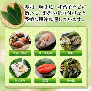 【管理栄養士も推奨】 丸大 大滝商店 国産 新...の詳細画像5