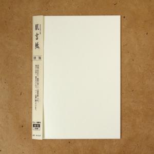 便箋 手紙 おしゃれ 和紙 シンプル 肌吉便箋 B5 無地