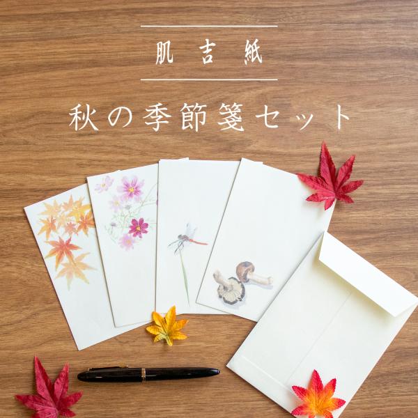 便箋封筒 レターセット おしゃれ 和紙 肌吉紙 秋の季節箋セット はがきサイズ めでたやの和文具 大...