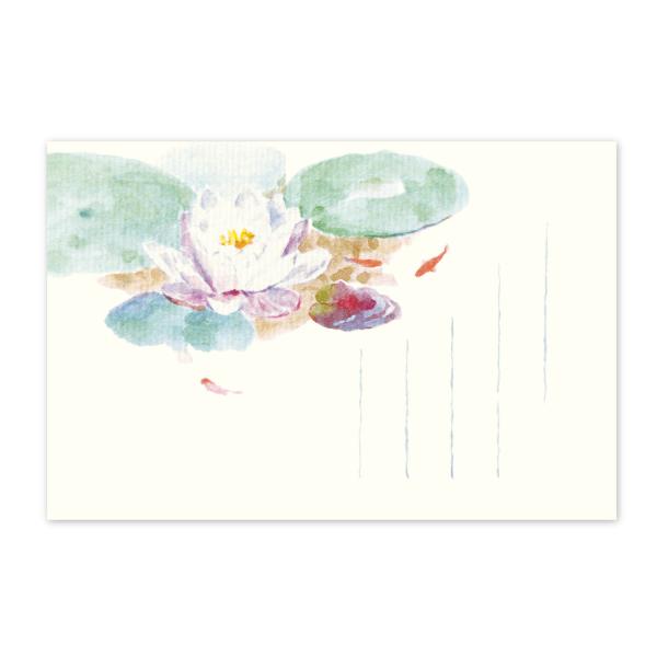 絵葉書 ポストカード 夏 季節のはがき スイレンとめだか おしゃれ 和紙 手紙 暑中見舞い 残暑 ギ...