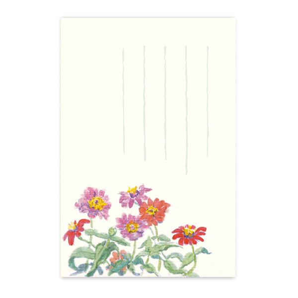 絵葉書 ポストカード 夏 季節のはがき 百日草 おしゃれ 和紙 手紙 暑中見舞い 残暑 ギフト お土...