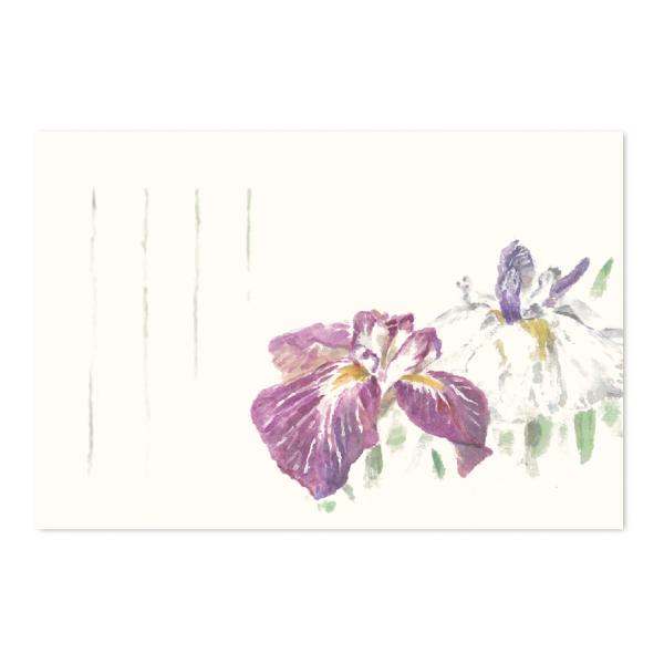 絵葉書 ポストカード 端午 初夏 おしゃれ 和紙 手紙 メッセージ 季節のはがき 花しょうぶ イラス...