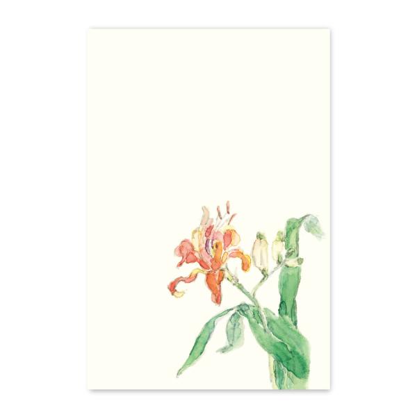 絵葉書 ポストカード 夏 季節のはがき 藪萱草 おしゃれ 和紙 手紙 暑中見舞い ギフト お土産 イ...