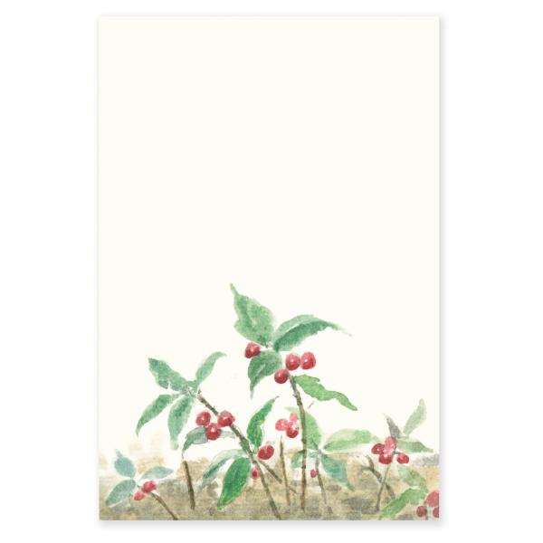 絵葉書 ポストカード 冬 おしゃれ 和紙 手紙 メッセージカード 季節のはがき 藪柑子 ギフト お土...