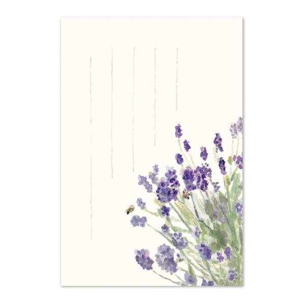 絵葉書 ポストカード 初夏 おしゃれ 和紙 手紙 メッセージ 季節のはがき ハチとラベンダー イラス...
