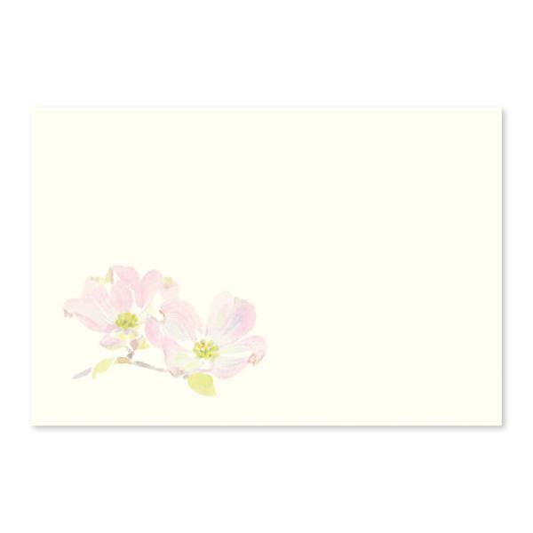 絵葉書 ポストカード 春 桜 おしゃれ 和紙 手紙 メッセージ 【季節のはがき ハナミズキ】 ギフト...