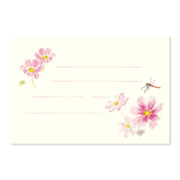 絵葉書 ポストカード 秋 季節のはがき コスモスととんぼ おしゃれ 和紙 手紙 イラスト ギフト お...