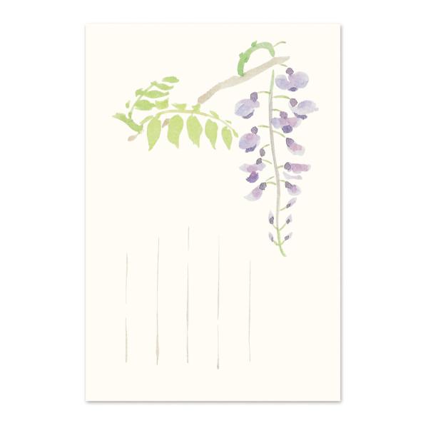 絵葉書 ポストカード 春 おしゃれ 和紙 手紙 メッセージカード 季節のはがき 藤 イラスト ギフト...