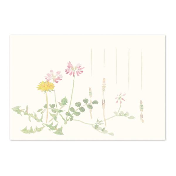 絵葉書 ポストカード 春 おしゃれ 和紙 手紙 メッセージカード 季節のはがき 春草 ギフト お土産...