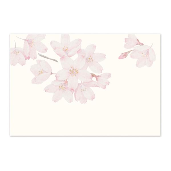 絵葉書 ポストカード 春 桜 おしゃれ 和紙 手紙 メッセージ 季節のはがき そめいよしの ギフト ...