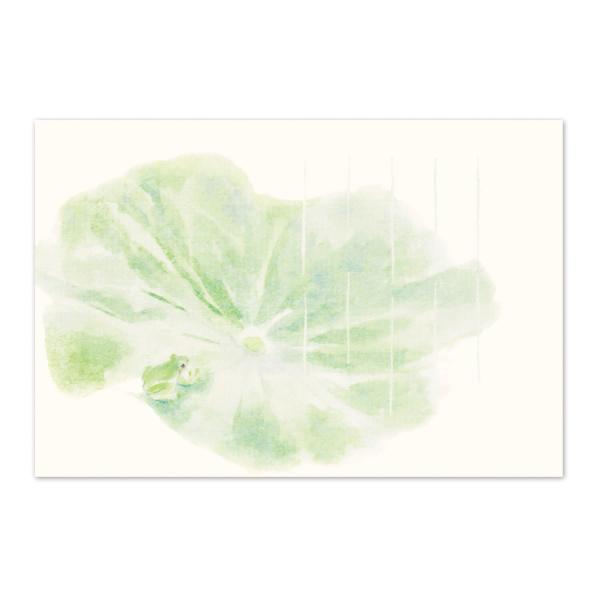 絵葉書 ポストカード 初夏 おしゃれ 和紙 手紙 メッセージ 季節のはがき 雨がえる イラスト ギフ...