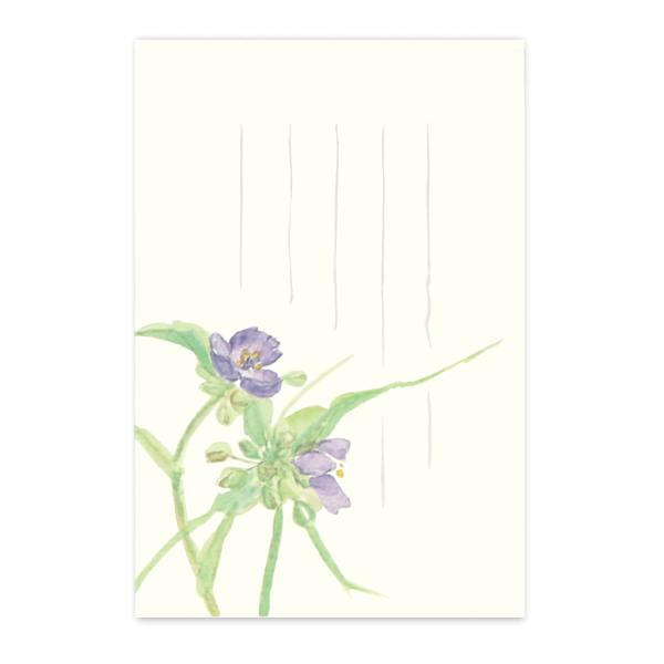 絵葉書 ポストカード 夏 季節のはがき むらさきつゆくさ おしゃれ 和紙 手紙 暑中見舞い 残暑 ギ...