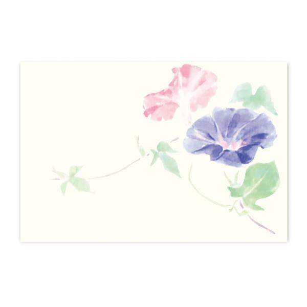 絵葉書 ポストカード 夏 季節のはがき 朝顔 横 おしゃれ 和紙 手紙 暑中見舞い 残暑 ギフト お...