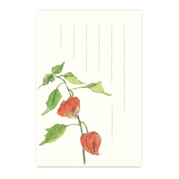 絵葉書 ポストカード 夏 季節のはがき ほおずき おしゃれ 和紙 手紙 暑中見舞い 残暑 ギフト お...