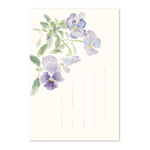 絵葉書 ポストカード 春 おしゃれ 和紙 季節のはがき パンジー 手紙 メッセージカード ギフト お...