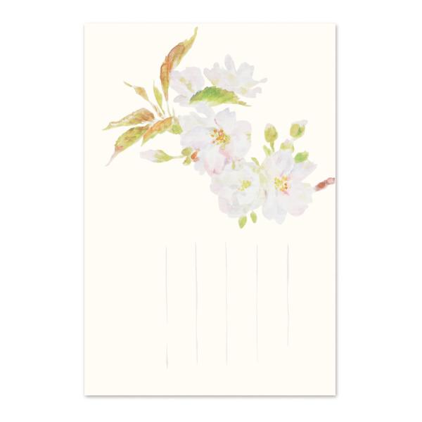 絵葉書 ポストカード 春 おしゃれ 季節のはがき 鬱金の桜 和紙 手紙 メッセージカード ギフト お...