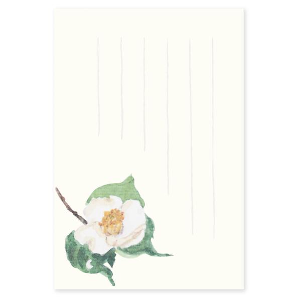 絵葉書 ポストカード 冬 おしゃれ 和紙 手紙 メッセージカード 季節のはがき 白一重椿 ギフト お...