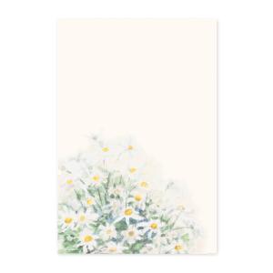 絵葉書 おしゃれ 和紙 季節の絵はがき 端午 初夏 マーガレット