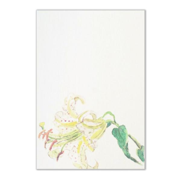 絵葉書 ポストカード 夏 季節のはがき やまゆり おしゃれ 和紙 手紙 暑中見舞い 残暑 ギフト お...