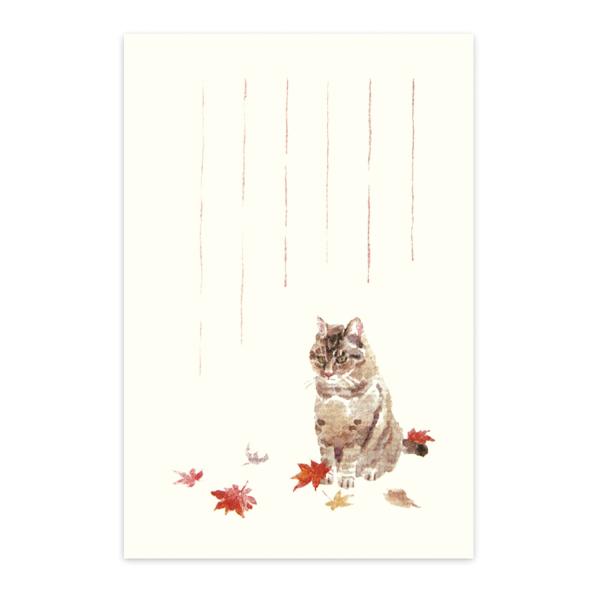 絵葉書 ポストカード 秋 季節のはがき 猫ともみじ おしゃれ 和紙 手紙 メッセージ ギフト お土産...