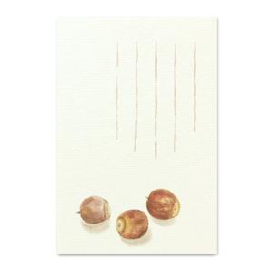 絵葉書 おしゃれ 和紙 季節の絵はがき 秋 どんぐり