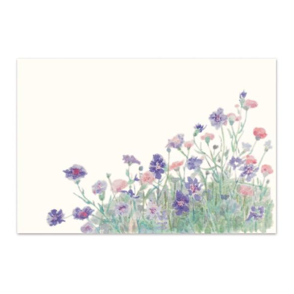 絵葉書 ポストカード 初夏 おしゃれ 和紙 手紙 メッセージ 季節のはがき 矢車菊 イラスト ギフト...