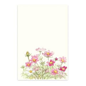 絵葉書 おしゃれ 和紙 季節の絵はがき 秋 コスモス 罫線なし