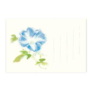 絵葉書 ポストカード 夏 季節のはがき 朝顔 青 おしゃれ 和紙 手紙 メッセージ 暑中見舞い ギフト お土産 インテリア めでたや/ネコポス対応
