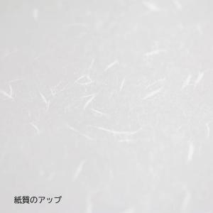コピー用紙 a5 白 大直礼状紙 100枚入 ...の詳細画像1