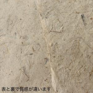 AS紙 OCA#7の詳細画像2
