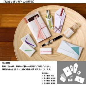 和紙 大直 羽二重紙 威光茶 いこうちゃの詳細画像3