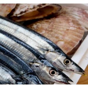 秋季限定！　生さんま＆特大帆立　各5個セット