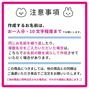 グッドネーム 大サイズよこがき アイロン転写 ...の詳細画像1