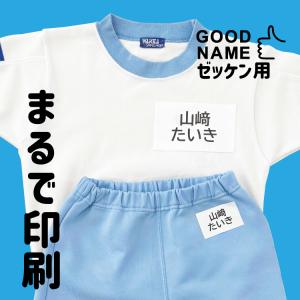グッドネーム ゼッケン用 アイロン転写 お名前シール 布用 ネームシール おなまえシール 入園 入学 水着 体操服 水泳 洋服 漢字対応 洗濯OK 乾燥機 シンプル