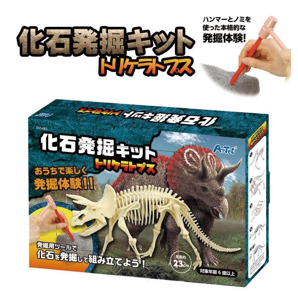 アーテック アーテック 化石発掘キット トリケラトプス 1個 夏休み 自由研究 小学生 男の子 子供...
