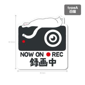 猫シリーズ1(白色背景)ドラレコ ドライブレコ...の詳細画像1