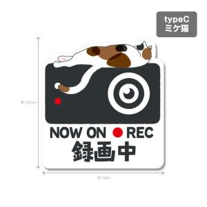 猫シリーズ1(白色背景)ドラレコ ドライブレコ...の詳細画像3