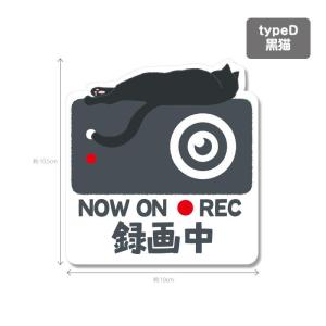 猫シリーズ1(白色背景)ドラレコ ドライブレコ...の詳細画像4