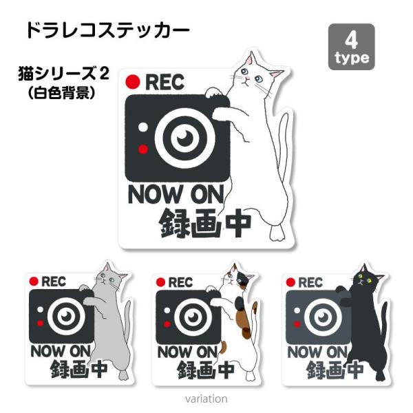 猫シリーズ２（白色背景）ドラレコ　ドライブレコーダーステッカー シール １枚