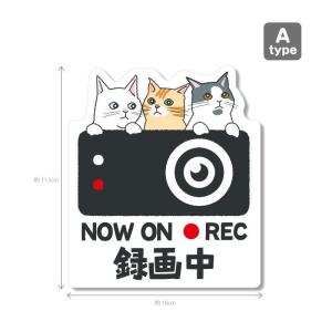 猫シリーズ3(白色背景)ドラレコ ドライブレコ...の詳細画像1