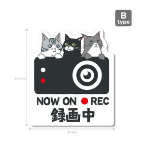 猫シリーズ3(白色背景)ドラレコ ドライブレコ...の詳細画像2