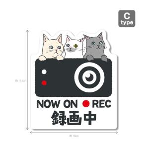 猫シリーズ3(白色背景)ドラレコ ドライブレコ...の詳細画像3
