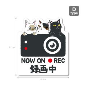 猫シリーズ3(白色背景)ドラレコ ドライブレコ...の詳細画像4