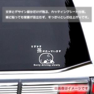 ときどき孫が乗ってます カッティングステッカー...の詳細画像1