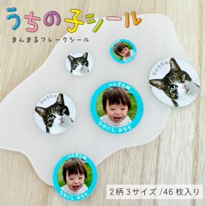 うちの子 シール 3size 46枚入り 愛犬 愛猫 お子様のお写真などで！！防水 耐水 シール 名入れ